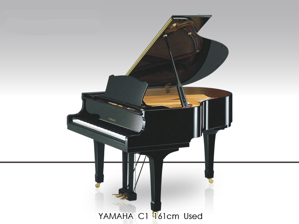 Music City – Tổng Kho Piano, Guitar, Organ | Dịch Vụ Giáo Dục Âm Nhạc