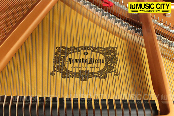 Music City – Tổng Kho Piano, Guitar, Organ | Dịch Vụ Giáo Dục Âm Nhạc