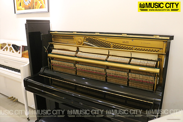 Music City – Tổng Kho Piano, Guitar, Organ | Dịch Vụ Giáo Dục Âm Nhạc