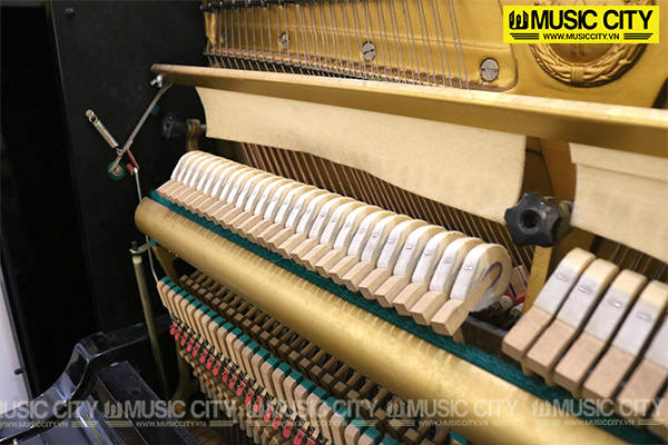 Music City – Tổng Kho Piano, Guitar, Organ | Dịch Vụ Giáo Dục Âm Nhạc