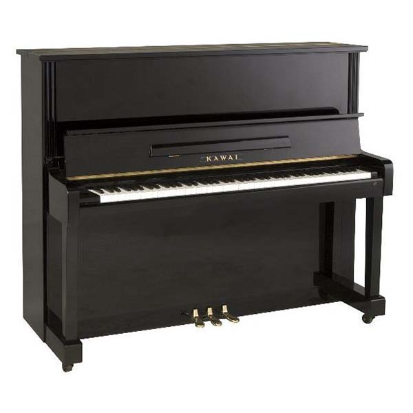 Music City – Tổng Kho Piano, Guitar, Organ | Dịch Vụ Giáo Dục Âm Nhạc
