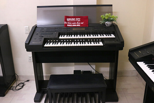 Music City – Tổng Kho Piano, Guitar, Organ | Dịch Vụ Giáo Dục Âm Nhạc