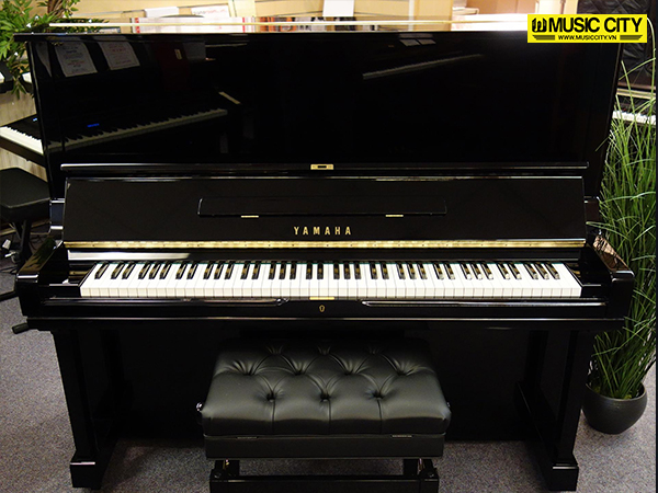 Music City – Tổng Kho Piano, Guitar, Organ | Dịch Vụ Giáo Dục Âm Nhạc