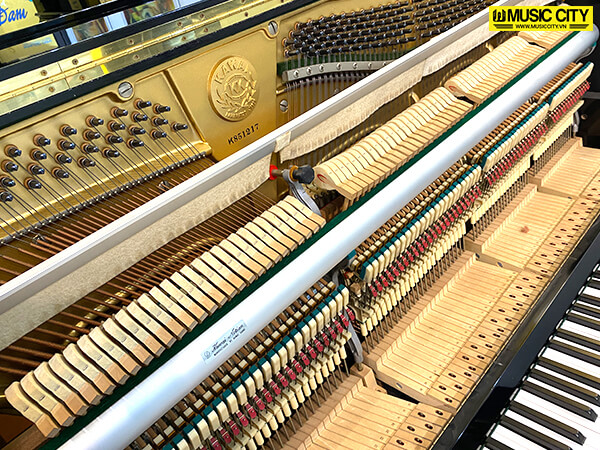 Music City – Tổng Kho Piano, Guitar, Organ | Dịch Vụ Giáo Dục Âm Nhạc