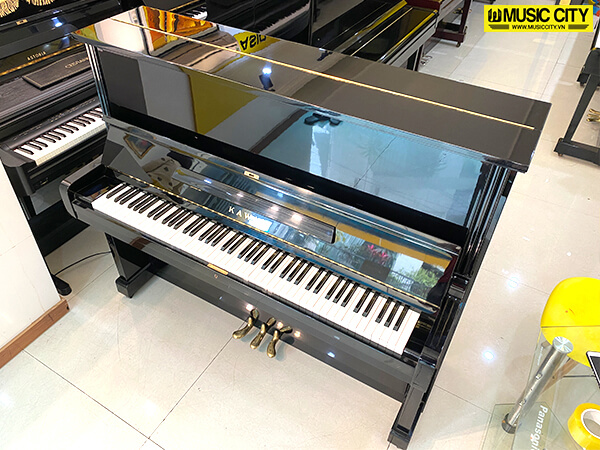 Music City – Tổng Kho Piano, Guitar, Organ | Dịch Vụ Giáo Dục Âm Nhạc