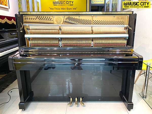Music City – Tổng Kho Piano, Guitar, Organ | Dịch Vụ Giáo Dục Âm Nhạc