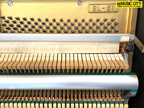 Music City – Tổng Kho Piano, Guitar, Organ | Dịch Vụ Giáo Dục Âm Nhạc