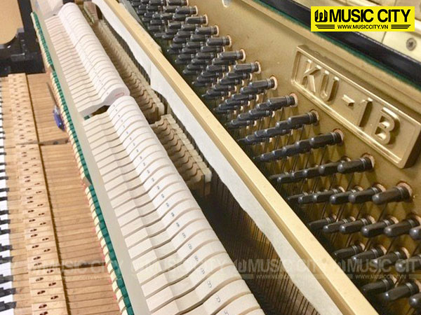 Music City – Tổng Kho Piano, Guitar, Organ | Dịch Vụ Giáo Dục Âm Nhạc