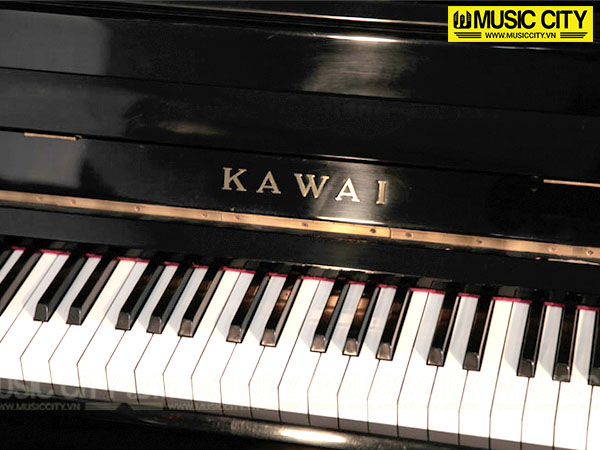 Music City – Tổng Kho Piano, Guitar, Organ | Dịch Vụ Giáo Dục Âm Nhạc
