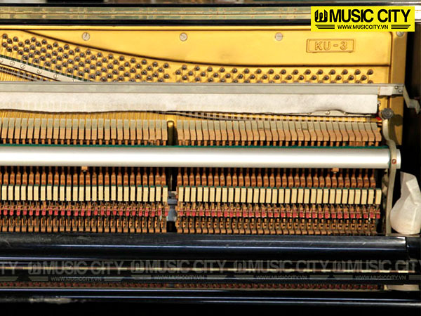 Music City – Tổng Kho Piano, Guitar, Organ | Dịch Vụ Giáo Dục Âm Nhạc