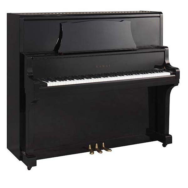 Music City – Tổng Kho Piano, Guitar, Organ | Dịch Vụ Giáo Dục Âm Nhạc