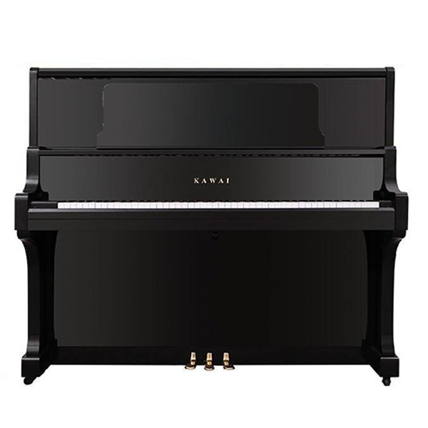Music City – Tổng Kho Piano, Guitar, Organ | Dịch Vụ Giáo Dục Âm Nhạc