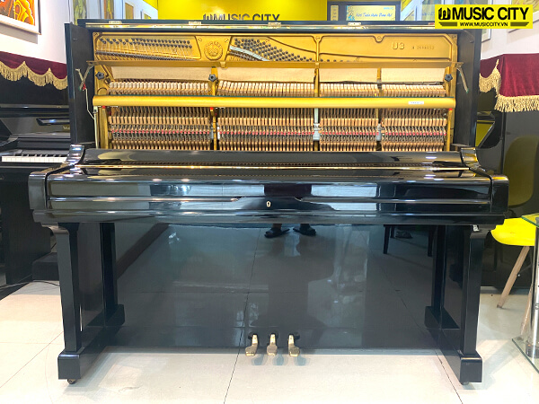 Music City – Tổng Kho Piano, Guitar, Organ | Dịch Vụ Giáo Dục Âm Nhạc