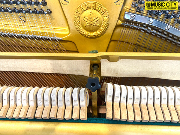 Music City – Tổng Kho Piano, Guitar, Organ | Dịch Vụ Giáo Dục Âm Nhạc