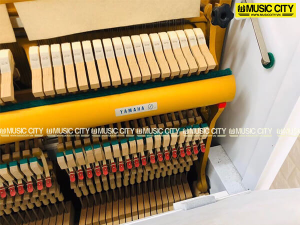 Music City – Tổng Kho Piano, Guitar, Organ | Dịch Vụ Giáo Dục Âm Nhạc