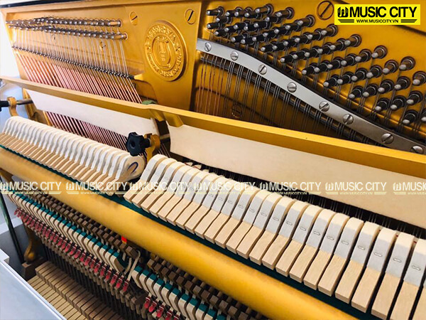 Music City – Tổng Kho Piano, Guitar, Organ | Dịch Vụ Giáo Dục Âm Nhạc