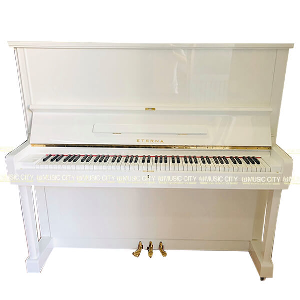 Music City – Tổng Kho Piano, Guitar, Organ | Dịch Vụ Giáo Dục Âm Nhạc