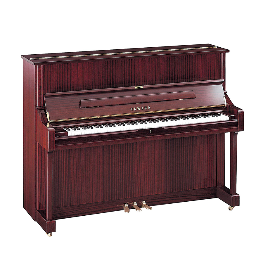 Music City – Tổng Kho Piano, Guitar, Organ | Dịch Vụ Giáo Dục Âm Nhạc