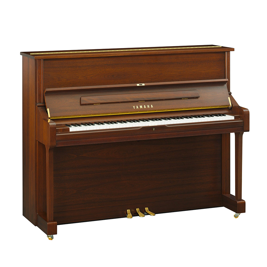 Music City – Tổng Kho Piano, Guitar, Organ | Dịch Vụ Giáo Dục Âm Nhạc