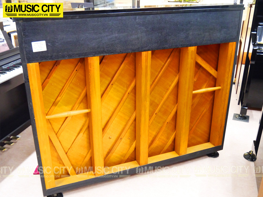 Music City – Tổng Kho Piano, Guitar, Organ | Dịch Vụ Giáo Dục Âm Nhạc