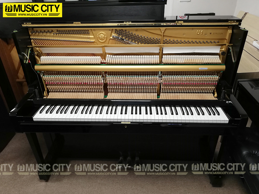 Music City – Tổng Kho Piano, Guitar, Organ | Dịch Vụ Giáo Dục Âm Nhạc