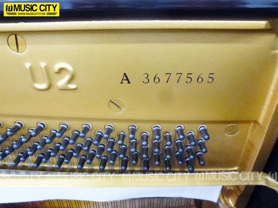 Music City – Tổng Kho Piano, Guitar, Organ | Dịch Vụ Giáo Dục Âm Nhạc