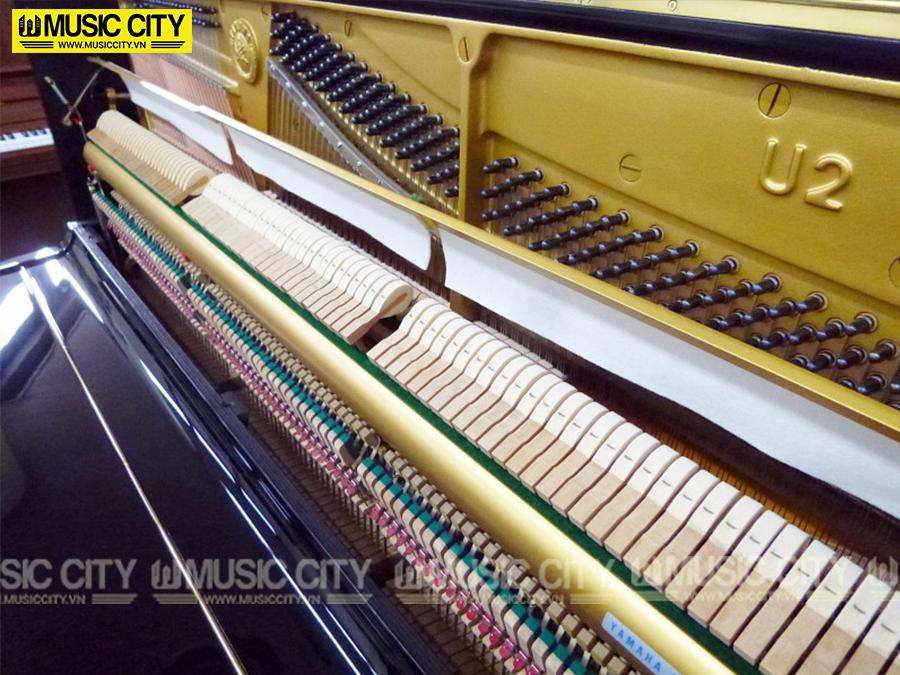 Music City – Tổng Kho Piano, Guitar, Organ | Dịch Vụ Giáo Dục Âm Nhạc