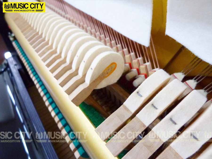 Music City – Tổng Kho Piano, Guitar, Organ | Dịch Vụ Giáo Dục Âm Nhạc