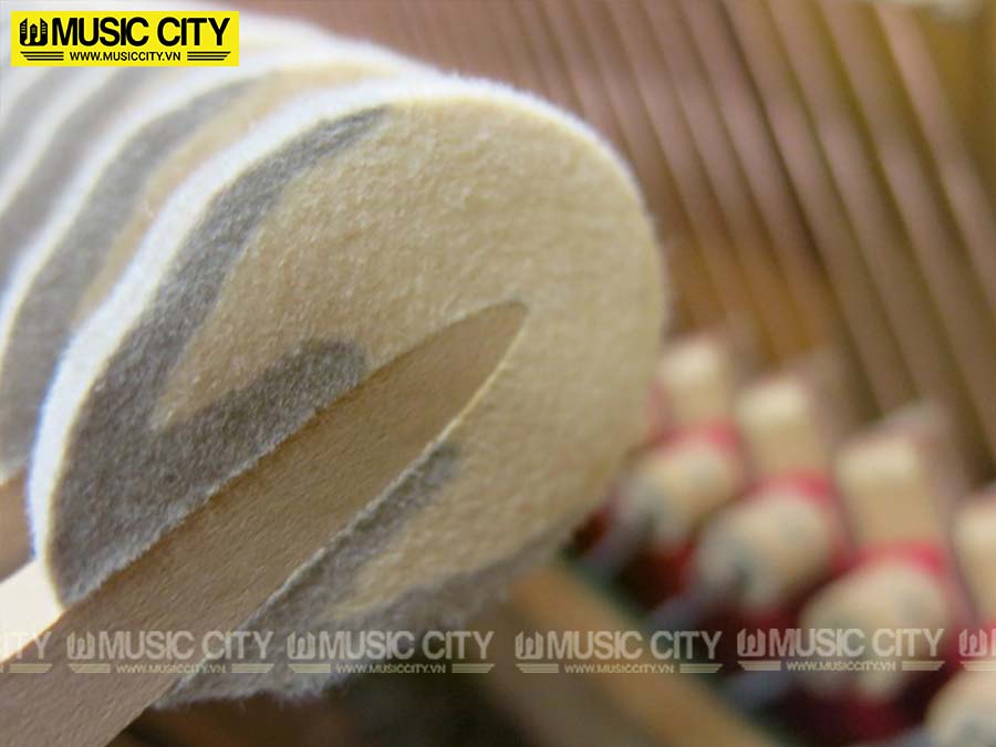 Music City – Tổng Kho Piano, Guitar, Organ | Dịch Vụ Giáo Dục Âm Nhạc