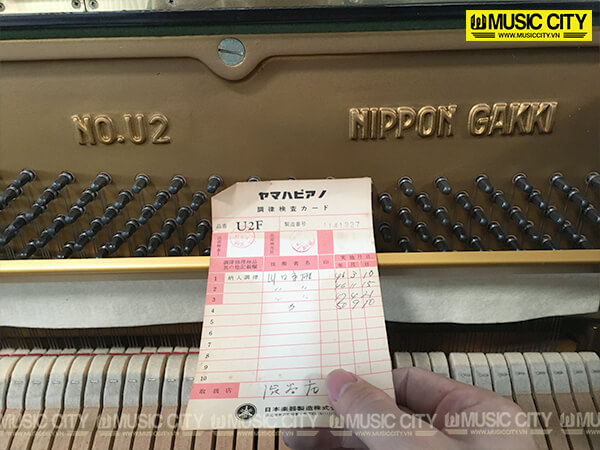 Music City – Tổng Kho Piano, Guitar, Organ | Dịch Vụ Giáo Dục Âm Nhạc