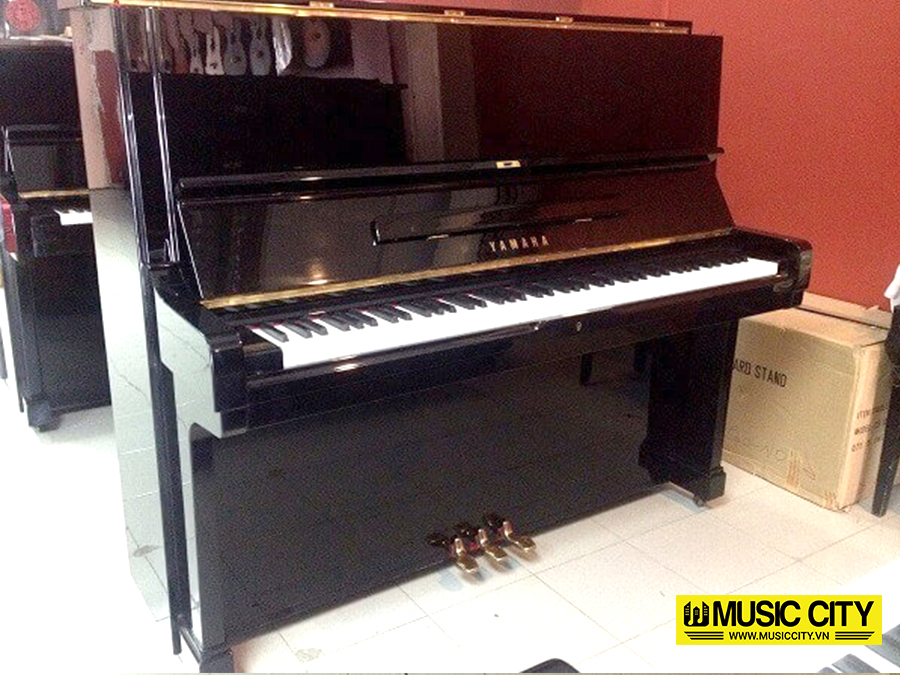Music City – Tổng Kho Piano, Guitar, Organ | Dịch Vụ Giáo Dục Âm Nhạc