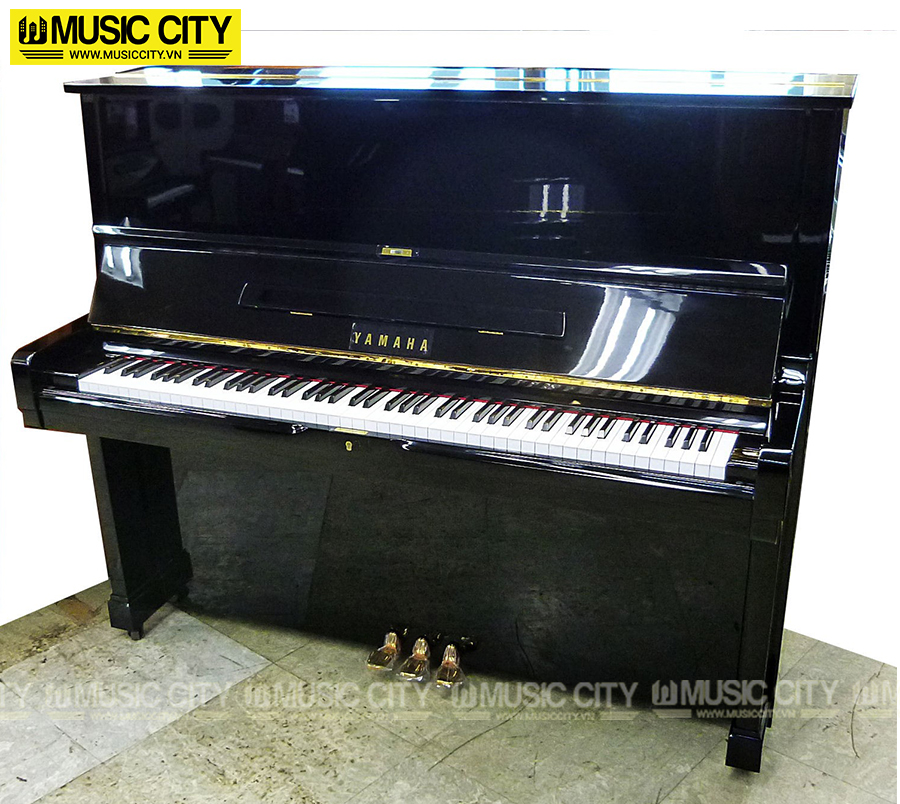 Music City – Tổng Kho Piano, Guitar, Organ | Dịch Vụ Giáo Dục Âm Nhạc