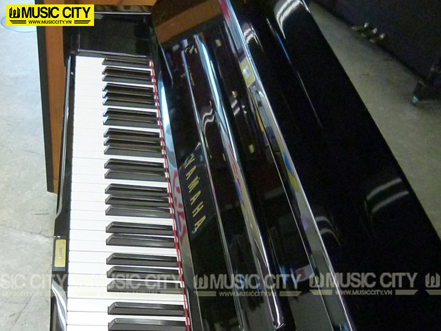 Music City – Tổng Kho Piano, Guitar, Organ | Dịch Vụ Giáo Dục Âm Nhạc