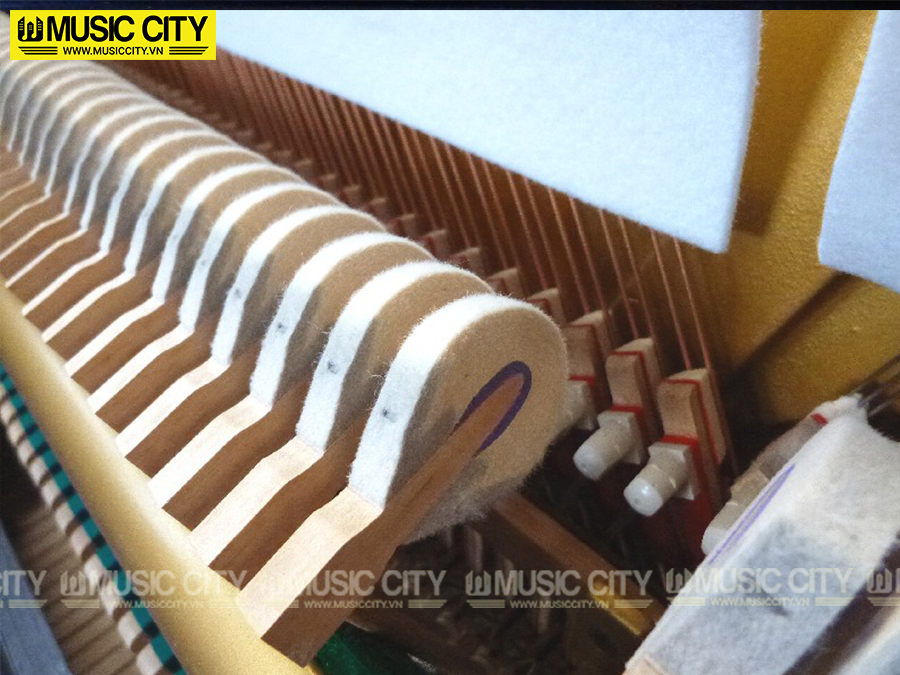 Music City – Tổng Kho Piano, Guitar, Organ | Dịch Vụ Giáo Dục Âm Nhạc