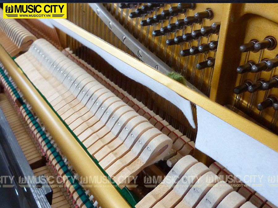 Music City – Tổng Kho Piano, Guitar, Organ | Dịch Vụ Giáo Dục Âm Nhạc