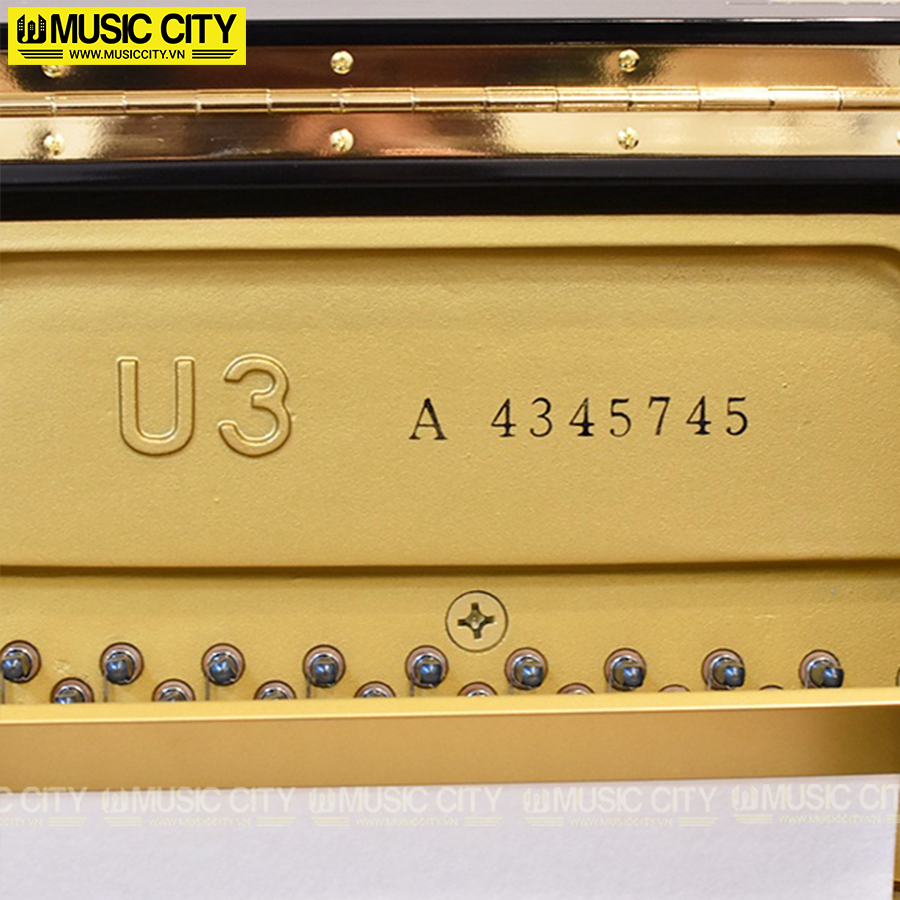 Music City – Tổng Kho Piano, Guitar, Organ | Dịch Vụ Giáo Dục Âm Nhạc