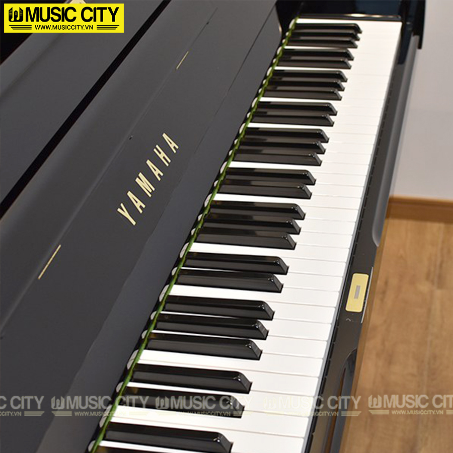 Music City – Tổng Kho Piano, Guitar, Organ | Dịch Vụ Giáo Dục Âm Nhạc