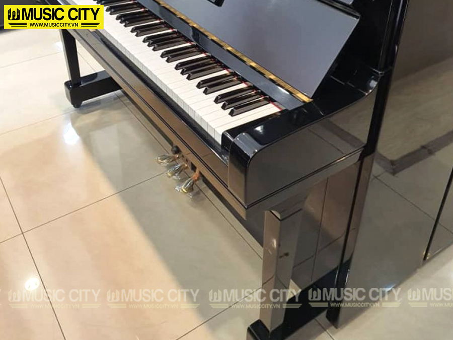 Music City – Tổng Kho Piano, Guitar, Organ | Dịch Vụ Giáo Dục Âm Nhạc