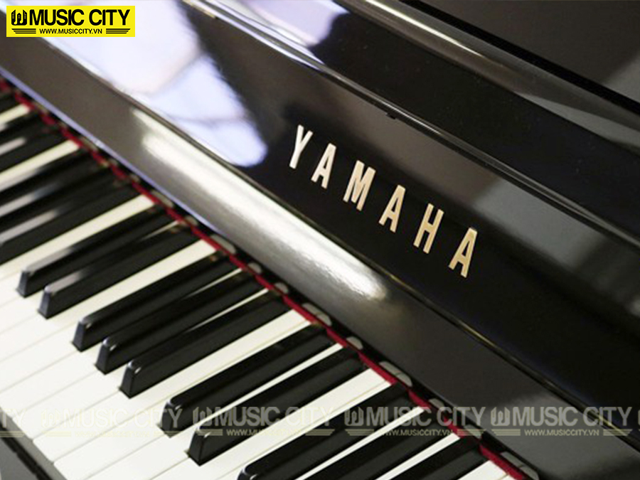 Music City – Tổng Kho Piano, Guitar, Organ | Dịch Vụ Giáo Dục Âm Nhạc