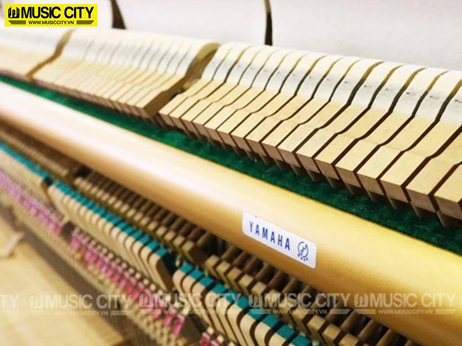 Music City – Tổng Kho Piano, Guitar, Organ | Dịch Vụ Giáo Dục Âm Nhạc