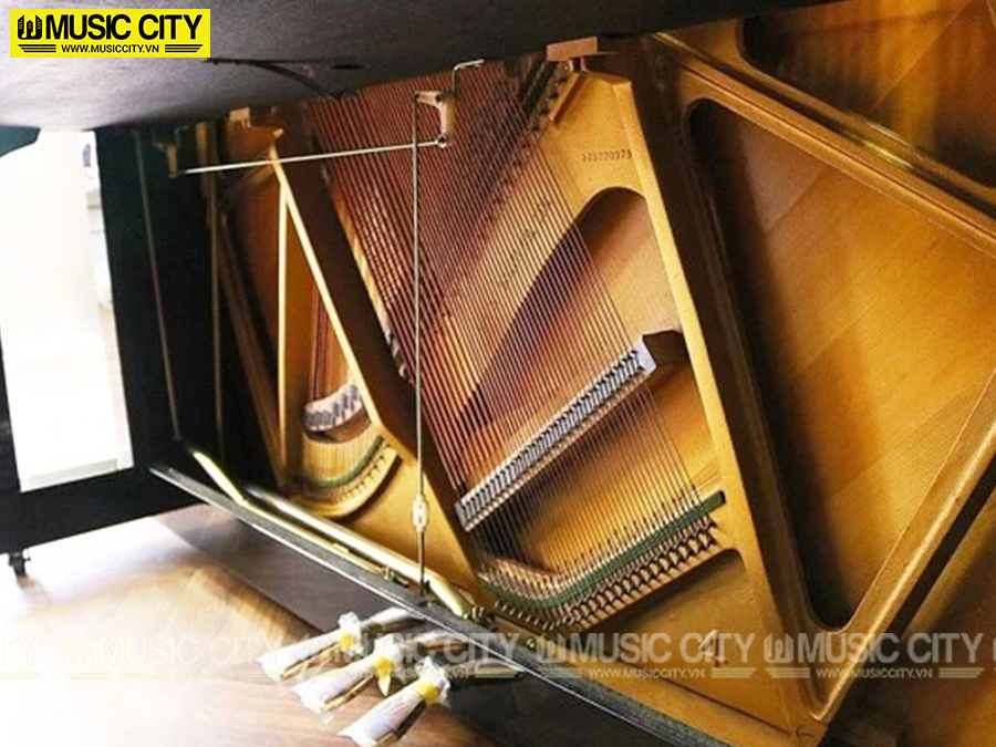 Music City – Tổng Kho Piano, Guitar, Organ | Dịch Vụ Giáo Dục Âm Nhạc