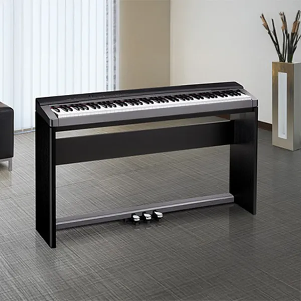 Music City – Tổng Kho Piano, Guitar, Organ | Dịch Vụ Giáo Dục Âm Nhạc