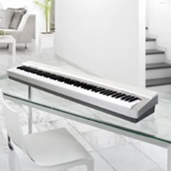 Music City – Tổng Kho Piano, Guitar, Organ | Dịch Vụ Giáo Dục Âm Nhạc