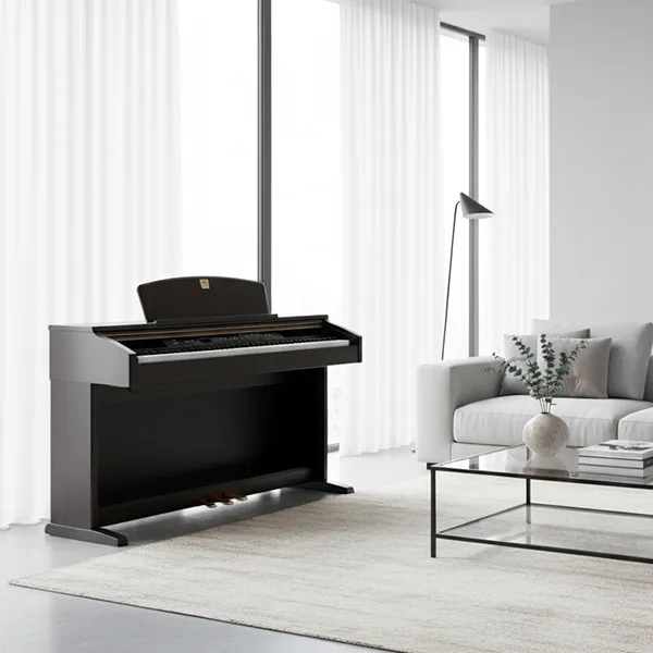 Music City – Tổng Kho Piano, Guitar, Organ | Dịch Vụ Giáo Dục Âm Nhạc