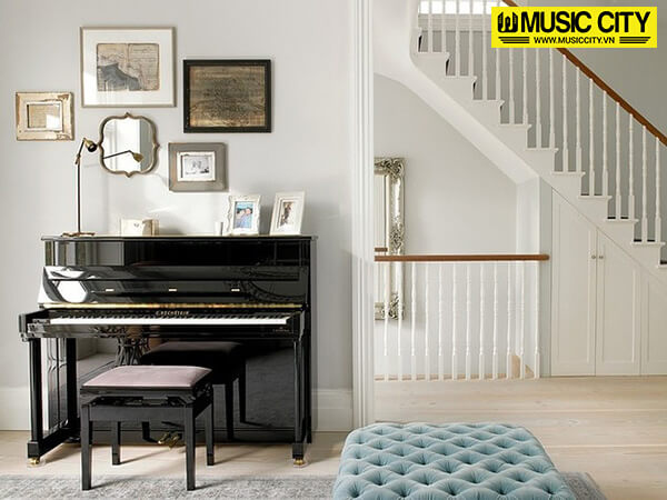 Music City – Tổng Kho Piano, Guitar, Organ | Dịch Vụ Giáo Dục Âm Nhạc