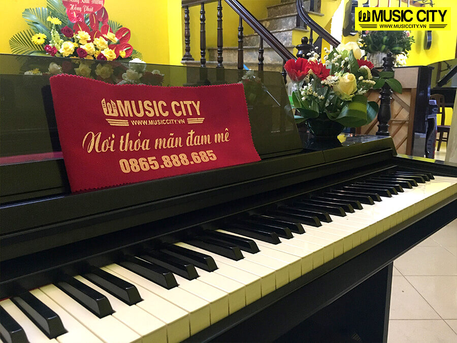 Music City – Tổng Kho Piano, Guitar, Organ | Dịch Vụ Giáo Dục Âm Nhạc