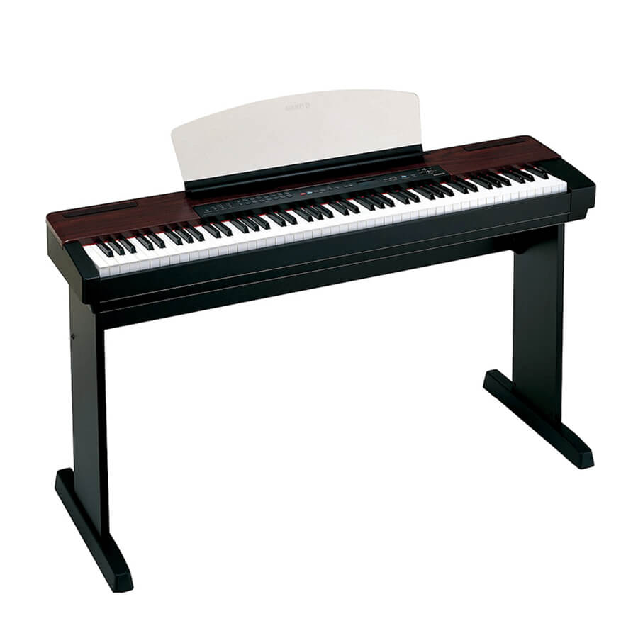 Music City – Tổng Kho Piano, Guitar, Organ | Dịch Vụ Giáo Dục Âm Nhạc