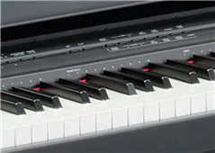 Music City – Tổng Kho Piano, Guitar, Organ | Dịch Vụ Giáo Dục Âm Nhạc