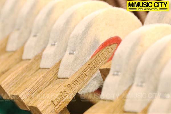 Music City – Tổng Kho Piano, Guitar, Organ | Dịch Vụ Giáo Dục Âm Nhạc