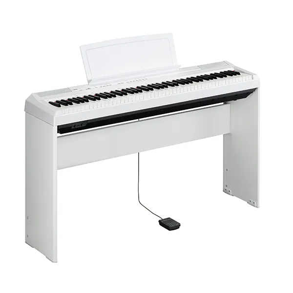 Music City – Tổng Kho Piano, Guitar, Organ | Dịch Vụ Giáo Dục Âm Nhạc